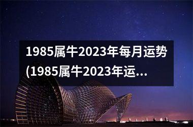 1985属牛2025年每月运势(1985属牛2025年运势及运程)