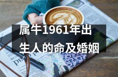 属牛1961年出生人的命及婚姻