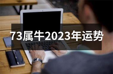 73属牛2025年运势