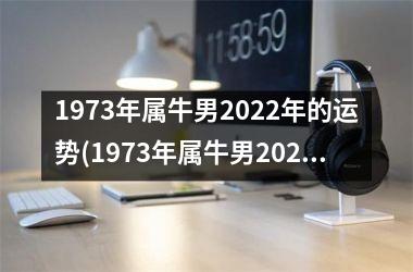 1973年属牛男2025年的运势(1973年属牛男2025年运势及运程每月运程)