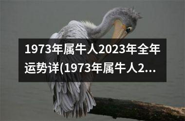 <h3>1973年属牛人2025年全年运势详(1973年属牛人2025年全年运势详解)