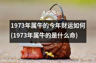 1973年属牛的今年财运如何(1973年属牛的是什么命)