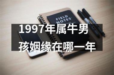 1997年属牛男孩姻缘在哪一年