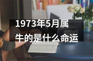 1973年5月属牛的是什么命运