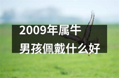 2009年属牛男孩佩戴什么好