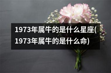 <h3>1973年属牛的是什么星座(1973年属牛的是什么命)