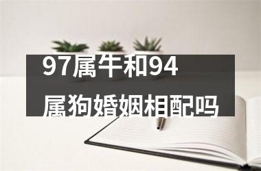 97属牛和94属狗婚姻相配吗