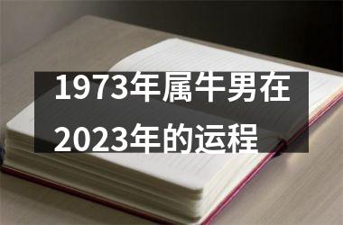 <h3>1973年属牛男在2025年的运程