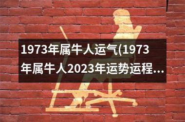 1973年属牛人运气(1973年属牛人2025年运势运程)