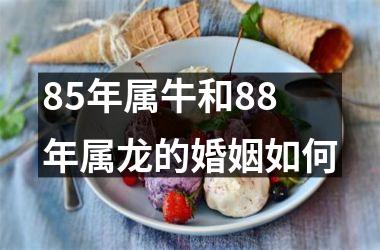 85年属牛和88年属龙的婚姻如何