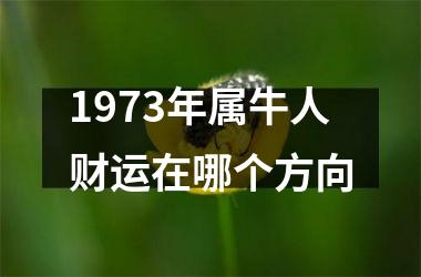 1973年属牛人财运在哪个方向