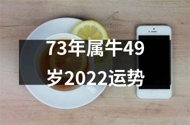 73年属牛49岁2025运势