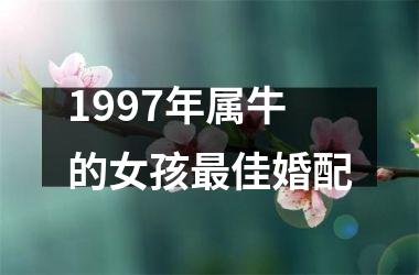 1997年属牛的女孩佳婚配