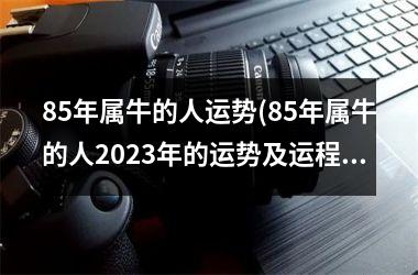 85年属牛的人运势(85年属牛的人2025年的运势及运程)