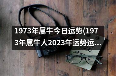 1973年属牛今日运势(1973年属牛人2025年运势运程)