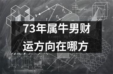 73年属牛男财运方向在哪方