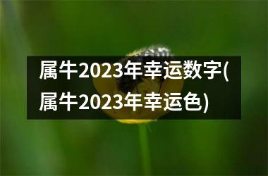 属牛2023年幸运数字(属牛2023年幸运色)