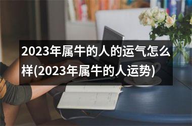 2025年属牛的人的运气怎么样(2025年属牛的人运势)