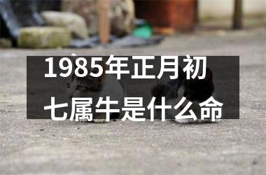 1985年正月初七属牛是什么命