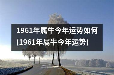 1961年属牛今年运势如何(1961年属牛今年运势)