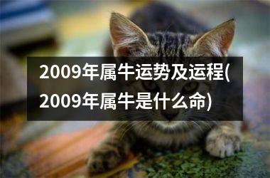 <h3>2009年属牛运势及运程(2009年属牛是什么命)