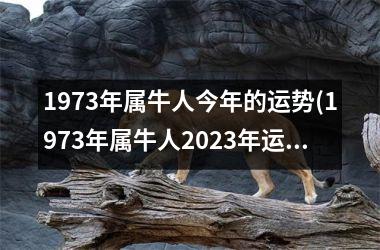 <h3>1973年属牛人今年的运势(1973年属牛人2025年运势运程)