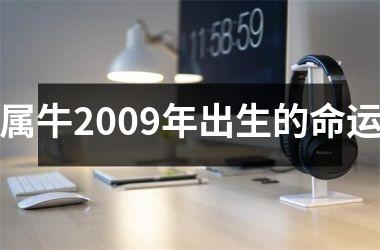 属牛2009年出生的命运