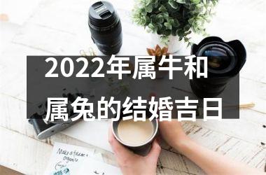 <h3>2025年属牛和属兔的结婚吉日