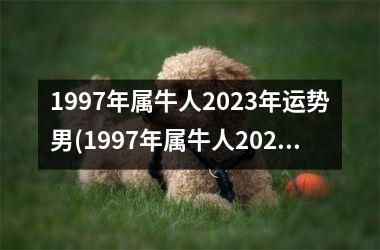 <h3>1997年属牛人2025年运势男(1997年属牛人2025年运势运程每月运程)