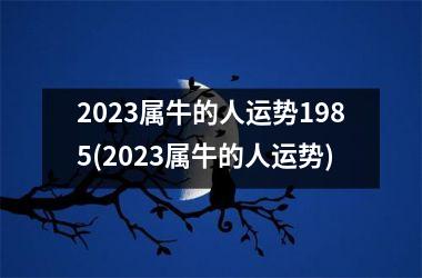 2025属牛的人运势1985(2025属牛的人运势)