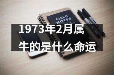 <h3>1973年2月属牛的是什么命运