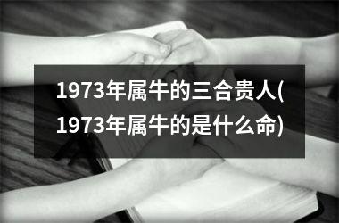 <h3>1973年属牛的三合贵人(1973年属牛的是什么命)