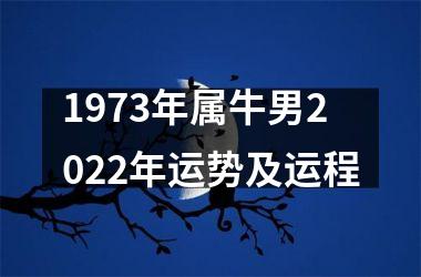 1973年属牛男2025年运势及运程