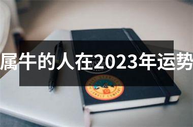 属牛的人在2025年运势