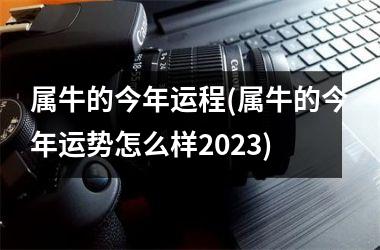 <h3>属牛的今年运程(属牛的今年运势怎么样2025)