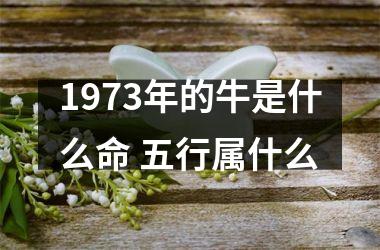 1973年的牛是什么命 五行属什么