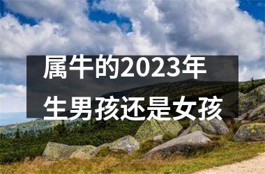 属牛的2025年生男孩还是女孩