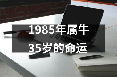 <h3>1985年属牛35岁的命运