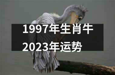 <h3>1997年生肖牛2025年运势