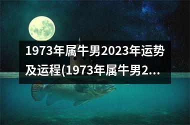 <h3>1973年属牛男2025年运势及运程(1973年属牛男2025年运势及运程每月运程)