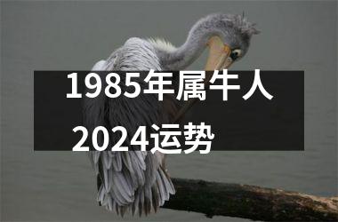 1985年属牛人 2024运势