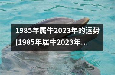 1985年属牛2025年的运势(1985年属牛2025年运势)