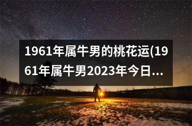 <h3>1961年属牛男的桃花运(1961年属牛男2025年今日运城)