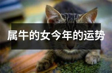 属牛的女今年的运势