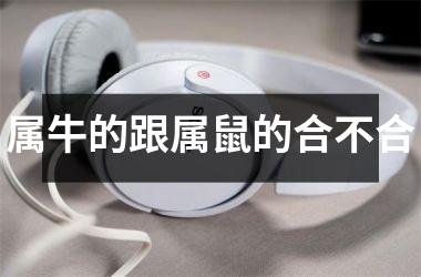 <h3>属牛的跟属鼠的合不合