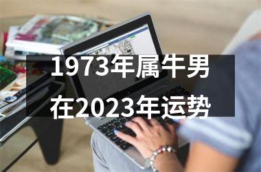 <h3>1973年属牛男在2025年运势