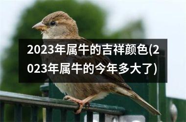 2025年属牛的吉祥颜色(2025年属牛的今年多大了)