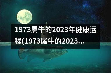 1973属牛的2025年健康运程(1973属牛的2025年全年运势)