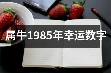 <h3>属牛1985年幸运数字