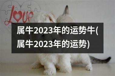 属牛2025年的运势牛(属牛2025年的运势)